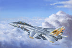 HobbyBoss 1/48 F-14A Tomcat Plastic Model Kit [80366]