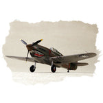HobbyBoss 1/72 P-40B/C "HAWK"-81A Plastic Model Kit [80209]