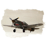 HobbyBoss 1/72 P-40B/C "HAWK"-81A Plastic Model Kit [80209]