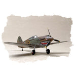 HobbyBoss 1/72 P-40B/C "HAWK"-81A Plastic Model Kit [80209]