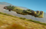 HobbyBoss 1/48 A-10A "THUNDERBOLT" II Plastic Model Kit [80323]