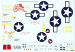 1/24 P-47D THUNDERBOLT RAZORBACK