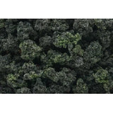Woodland Scenics Bushes Forest Blend Bag FC149